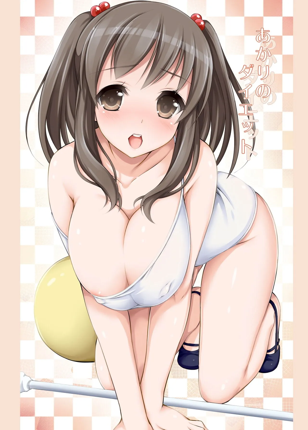 Akari no Diet