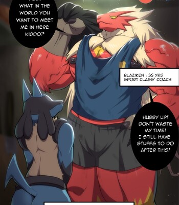 bna v5 blaziken x lucario
